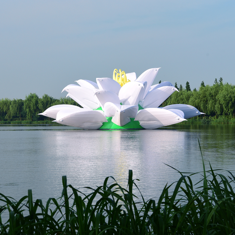 Shanghai Dalian Lake Water Lotus